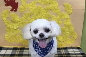11月のお友達☆