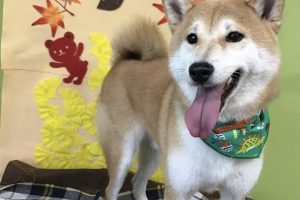 11月のお友達☆
