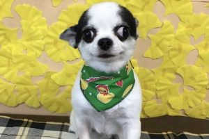 11月のお友達☆