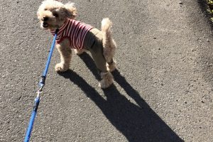 お泊り中☆