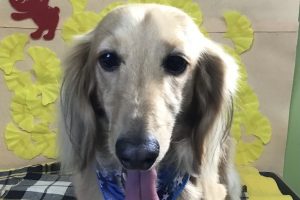 11月のお友達☆
