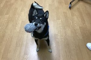 お泊り☆