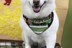 11月のお友達☆