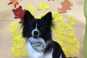11月のお友達☆