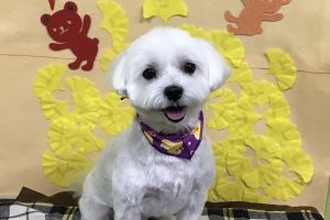 11月のお友達☆