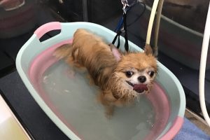 11月のお友達☆