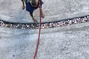 お泊まり中☆