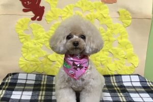 11月のお友達☆