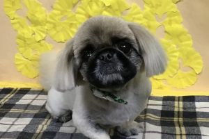 11月のお友達☆