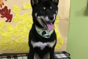 11月のお友達☆