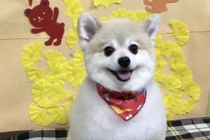 11月のお友達☆