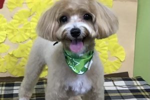 11月のお友達☆