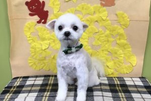 11月のお友達☆