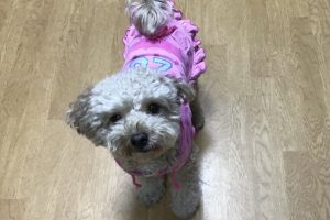 お泊り☆