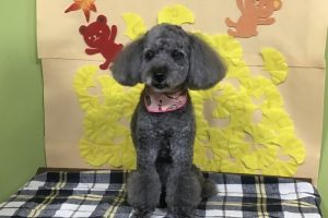 11月のお友達☆