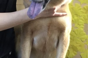 11月のお友達☆