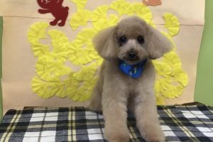11月のお友達☆