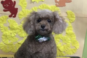 11月のお友達☆