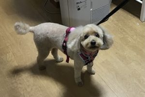 11月のお友達☆
