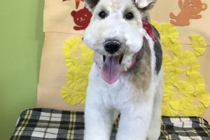 11月のお友達☆