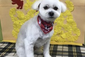 11月のお友達☆