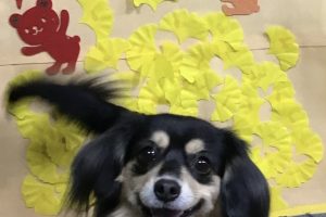 11月のお友達☆