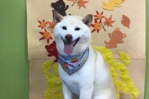 11月のお友達☆