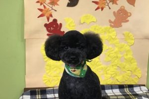 11月のお友達☆