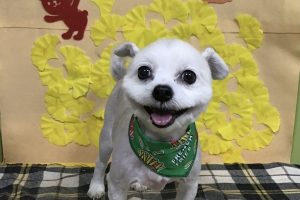 11月のお友達☆