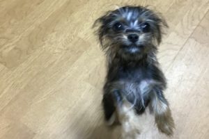 お泊まり中☆