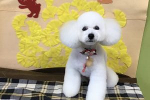11月のお友達☆