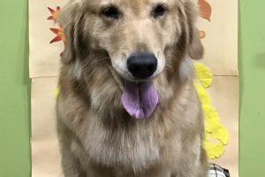 11月のお友達☆