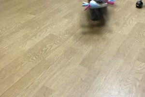 お泊まり中☆