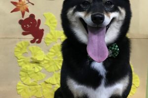 11月のお友達☆