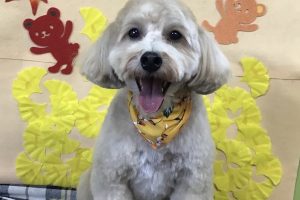 11月のお友達☆