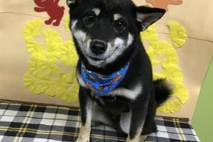 11月のお友達☆