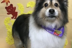 11月のお友達☆