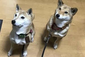 お泊り中☆