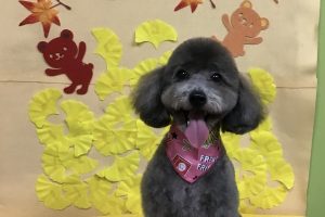 11月のお友達☆
