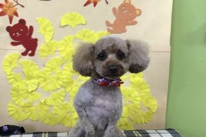 11月のお友達☆