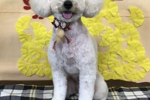 11月のお友達☆