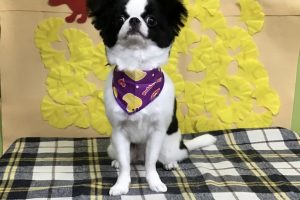 11月のお友達☆