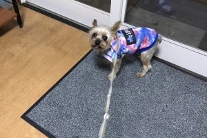 お泊り☆