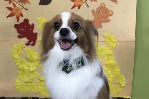 11月のお友達☆