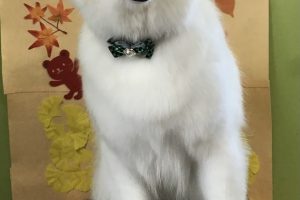 11月のお友達☆