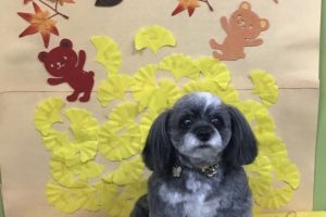 11月のお友達☆