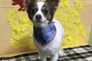 11月のお友達☆