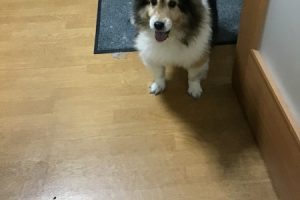 お泊まり中☆