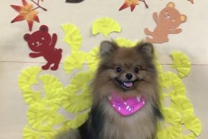 11月のお友達☆