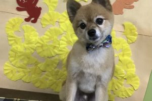 11月のお友達☆